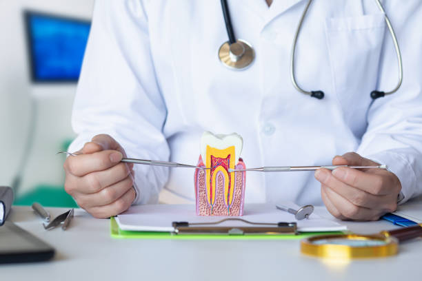 Best Dentist for Severe Toothache  in Humboldt, TN